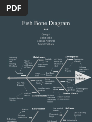 Fishbone Diagram