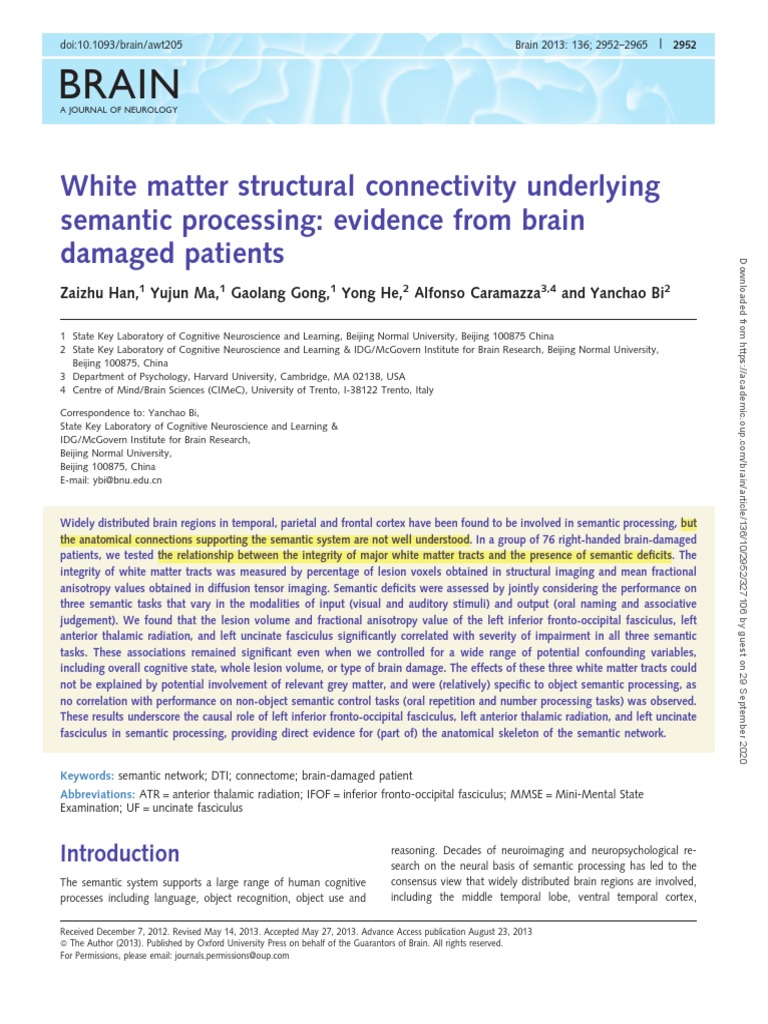 White Matter Structural Connectivity Underlying Semantic Processing ...