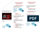 Folleto Sistema Hematopoyetico