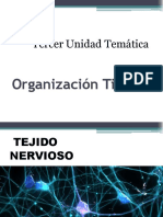 19. Organizacion Tisular III