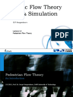 Pedestrian Flow Theory