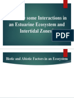 Estuarine Ecosystem Interactions & Intertidal Zone Factors