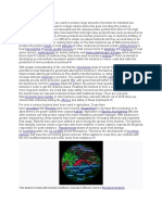 Genetically Modified Bacteria Are Used To Produce Large Amounts of Proteins For Industrial Use