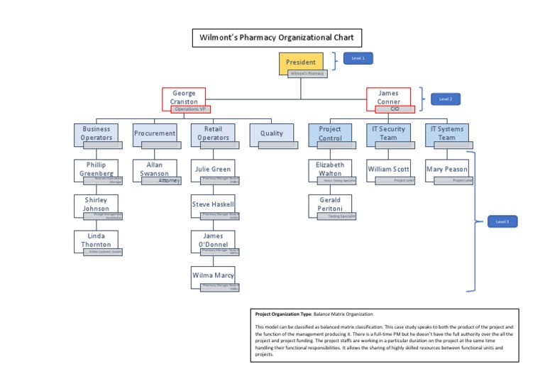 Wilmont's Pharmacy Org Chart Overview | PDF | Leadership | Economies