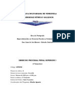 Derecho Procesal Penal Superior I