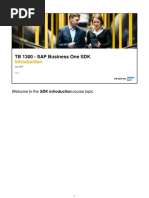 TB 1300 - SAP Business One SDK: Welcome To The SDK Introduction Course Topic