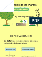 Clasificacion de plantas.pdf
