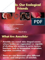 Annelids - Our Ecological Friends