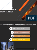 Disaster and Disaster Risk