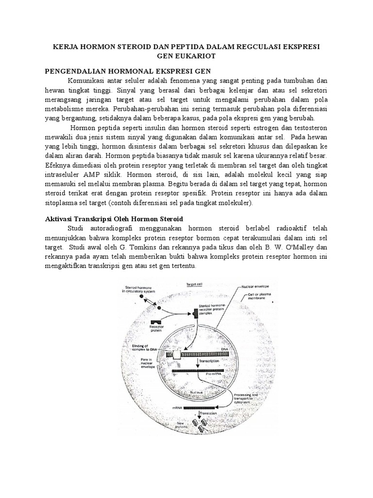 Regulasi Ekspresi Gen oleh Hormon Peptida | PDF | Sains & Matematika