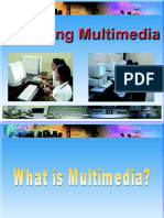 Browsing Multimedia