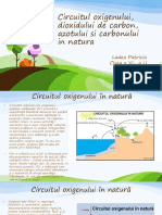 Circuitul Oxigenului, Dioxidului de Carbon, Azotului Si Carbonului in Natura