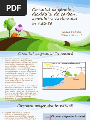 Circuitul Oxigenului Dioxidului De Carbon Azotului Si Carbonului In Natura