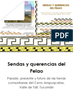 Sendas y Querencias de Pelao. Pasado Presente y Futuro de Las Tierras Comunitarias Del Cerro Ampuqcatao Valle de Tafí Tucumán