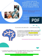 1.1. C) Reflexión Del Proceso de Atención 2 PDF