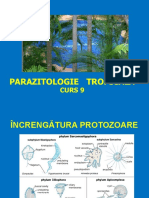 09 Curs PDF