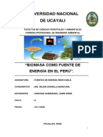 Informe Biomasa - Sanchez Guimaraes Lenin