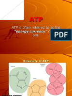 ATP - The Energy Currency of the Cell