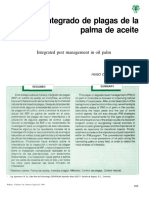 MIP PALMA.pdf