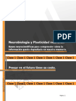 Neuroplasticidad y memoria
