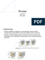 Prostat: Embriologi, Anatomi, dan Histologi