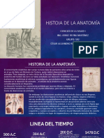 Historia de La Anatomia (Linea Del Tiempo)