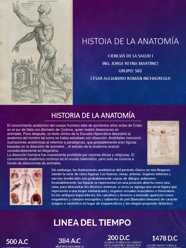 Historia de La Anatomia (Linea Del Tiempo) PDF Anatomía Science