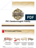 The_PIC_Camborough_Family.pdf