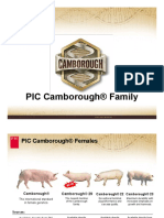 The PIC Camborough Family PDF