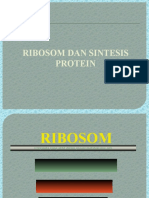 Ribosom Dan Sintesis Protein