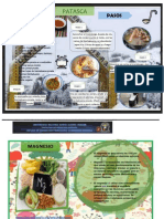 Patachi PDF