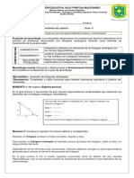 Guia Integrada 4 NÚCLEO CIENTIFICO PDF