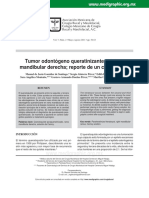 Queratoquiste Odontogenico PDF