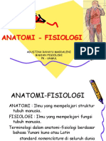 An-Fis Reproduksi