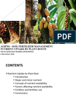 Presentation Nutrient Uptaked by Plant Roots