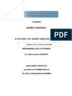 Alvez Macarena-Derivados de Acidos Laboratorio