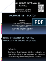 Hidraulica de Columnas de Platos Exposicion Equipo 2 PDF