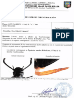 INFORME 38-DOC 3-2019072