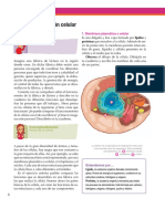 6a PDF