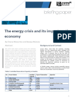 Briefing Paper-The Energy Crisis and Its Impact On The Economy