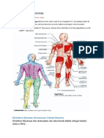 DERMATOM DAN MYOTOM