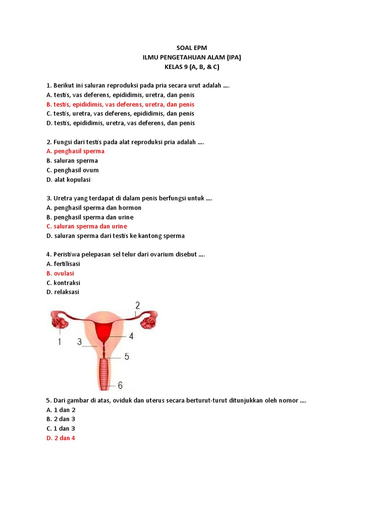 Reproduksi Kelas 9 Pdf
