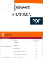 anatomia (1)