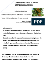 Cultivo+de+Durazno.pdf