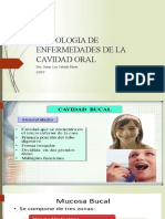 teoria 1cavidad oral UNFV (2).pptx