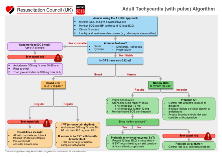 Adult Tachycardia Management Algorithm | PDF | Physiology ...