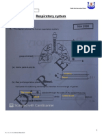 Respriatory System - Worksheet1