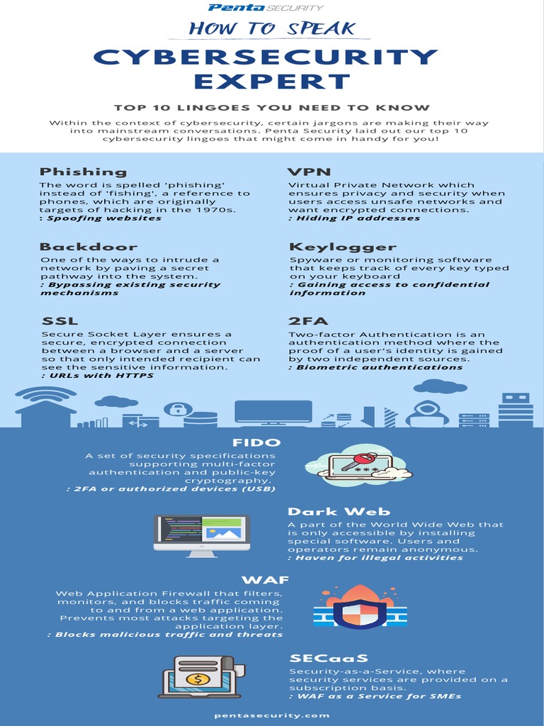 Top 10 Cybersecurity Lingo Explained | PDF | Computer Security | Security