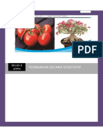 Pembiakan Vegetatif Buah-Buahan