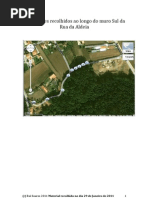 Exemplares Recolhidos Ao Longo Do Muro Sul Da Rua Da Aldeia